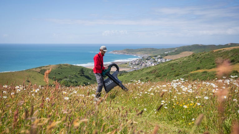 A ranger harvesting seeds in a field of wildflowers on a hill with the sea behind them.